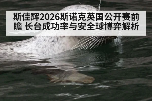 斯佳辉2026斯诺克英国公开赛前瞻 长台成功率与安全球博弈解析