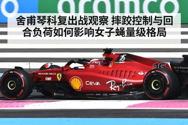 舍甫琴科复出战观察 摔跤控制与回合负荷如何影响女子蝇量级格局